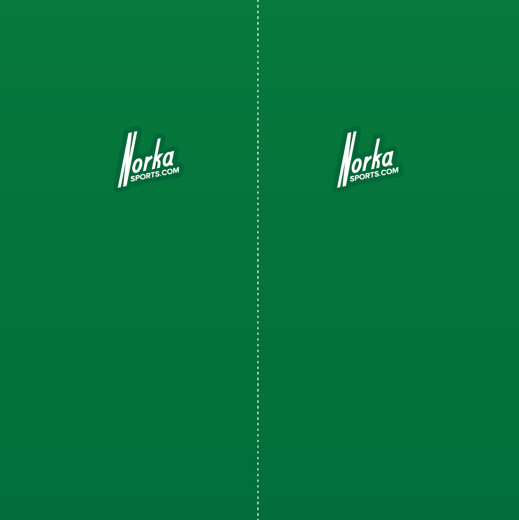 Green Gradient vinyl ski wrap - Norka Sports